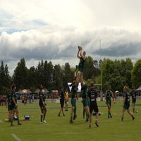 501_5261-standard.jpg
