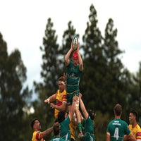 501_5334-standard.jpg
