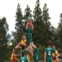 501_5335-standard.jpg
