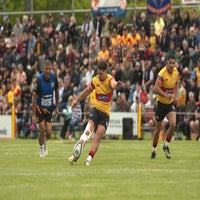 501_5358-standard.jpg