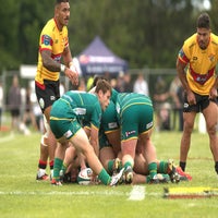 501_5423-standard.jpg