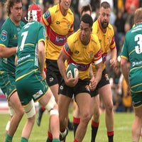 501_5444-standard.jpg