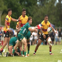 501_5485-standard.jpg
