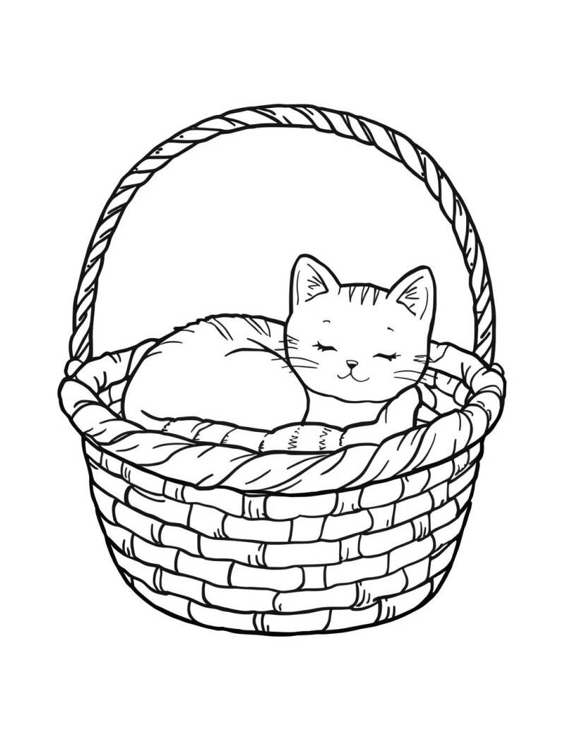 Kleurplaat kat in mandje