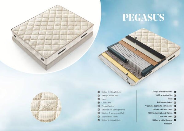 VZMETNICA PEGASUS 200 x 180