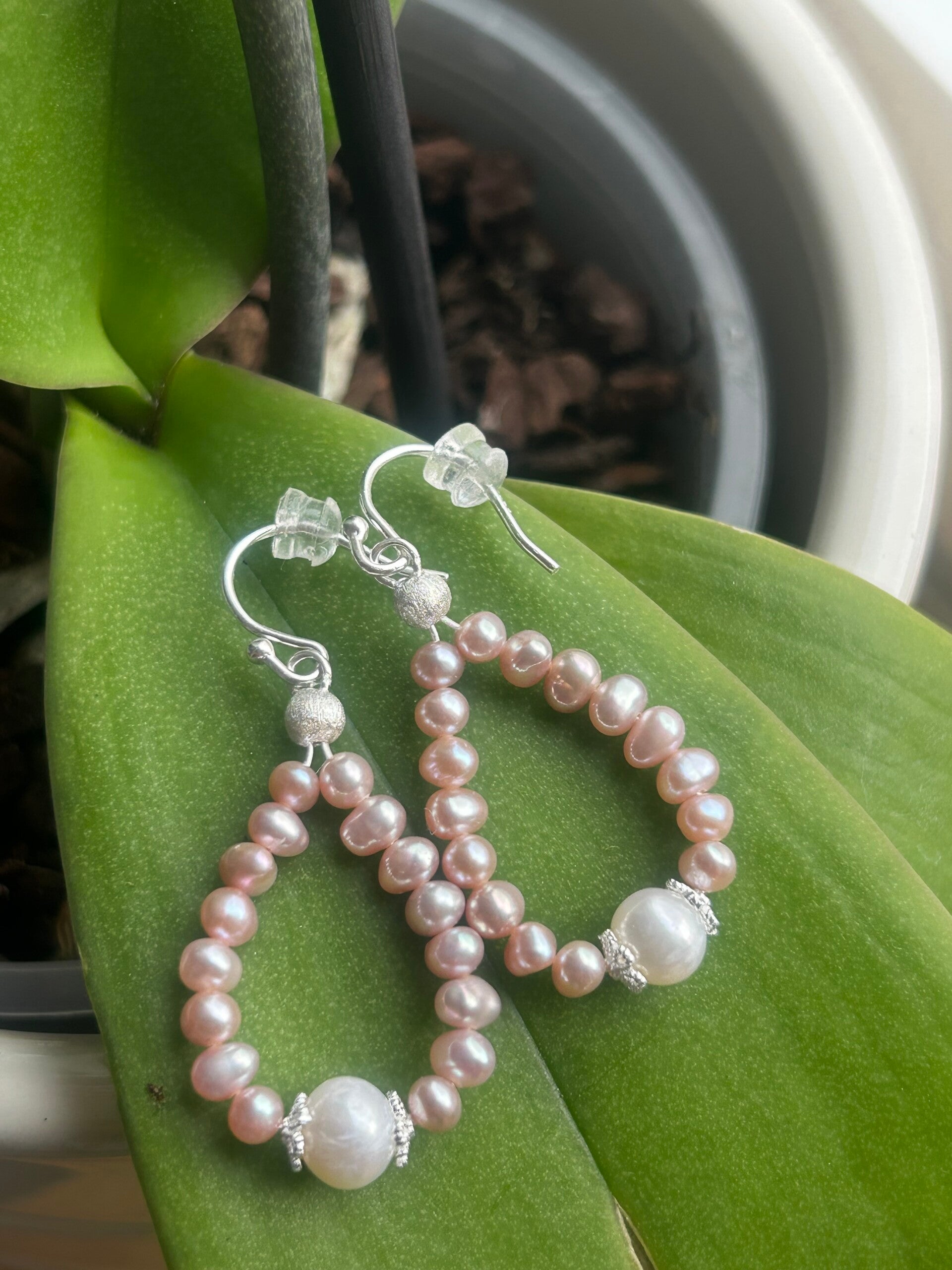 Ohrringe - Süsswasserperle (O542)