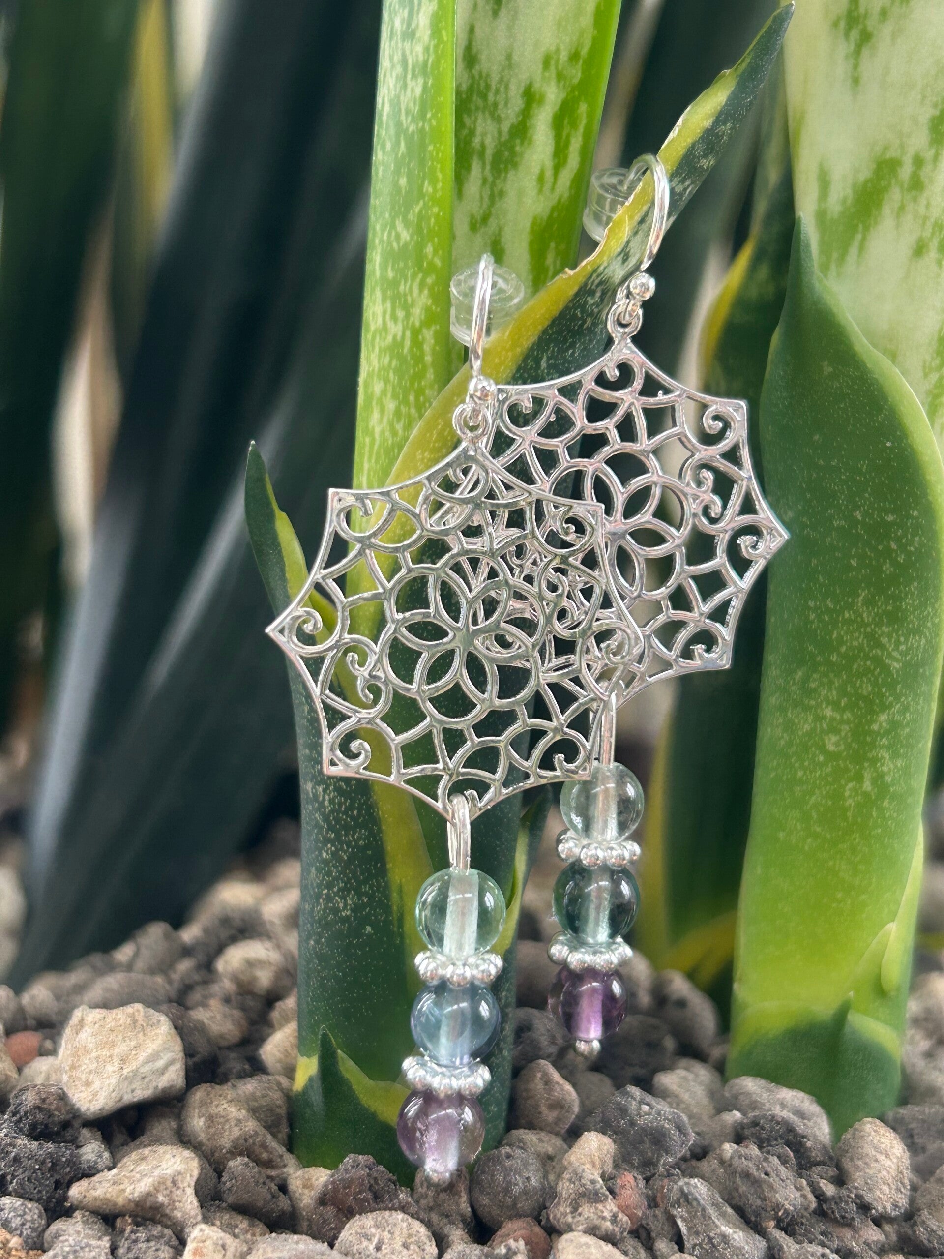 Ohrringe - die Erfolgreichen (O481)