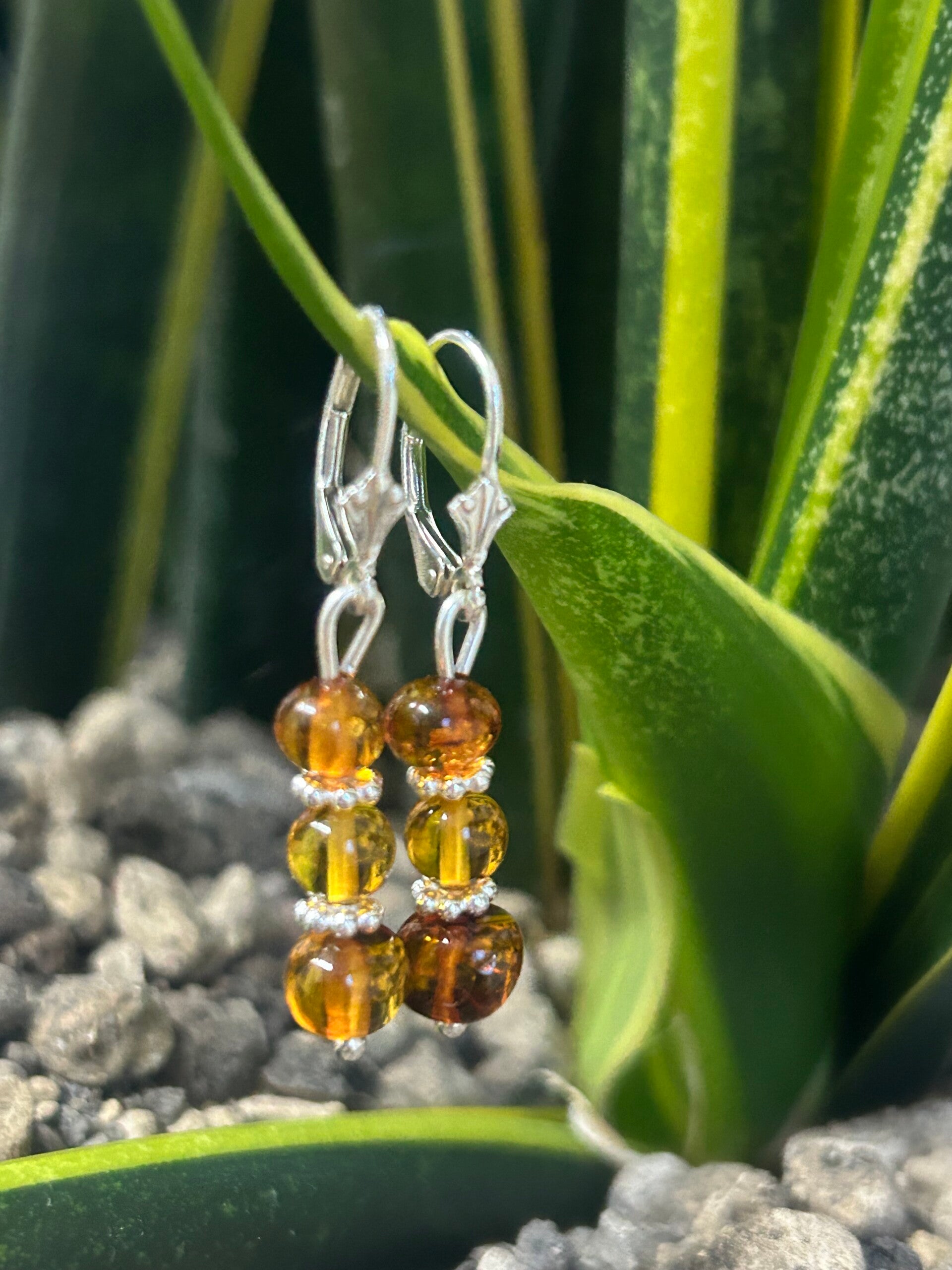Ohrringe - Bernstein (O484)