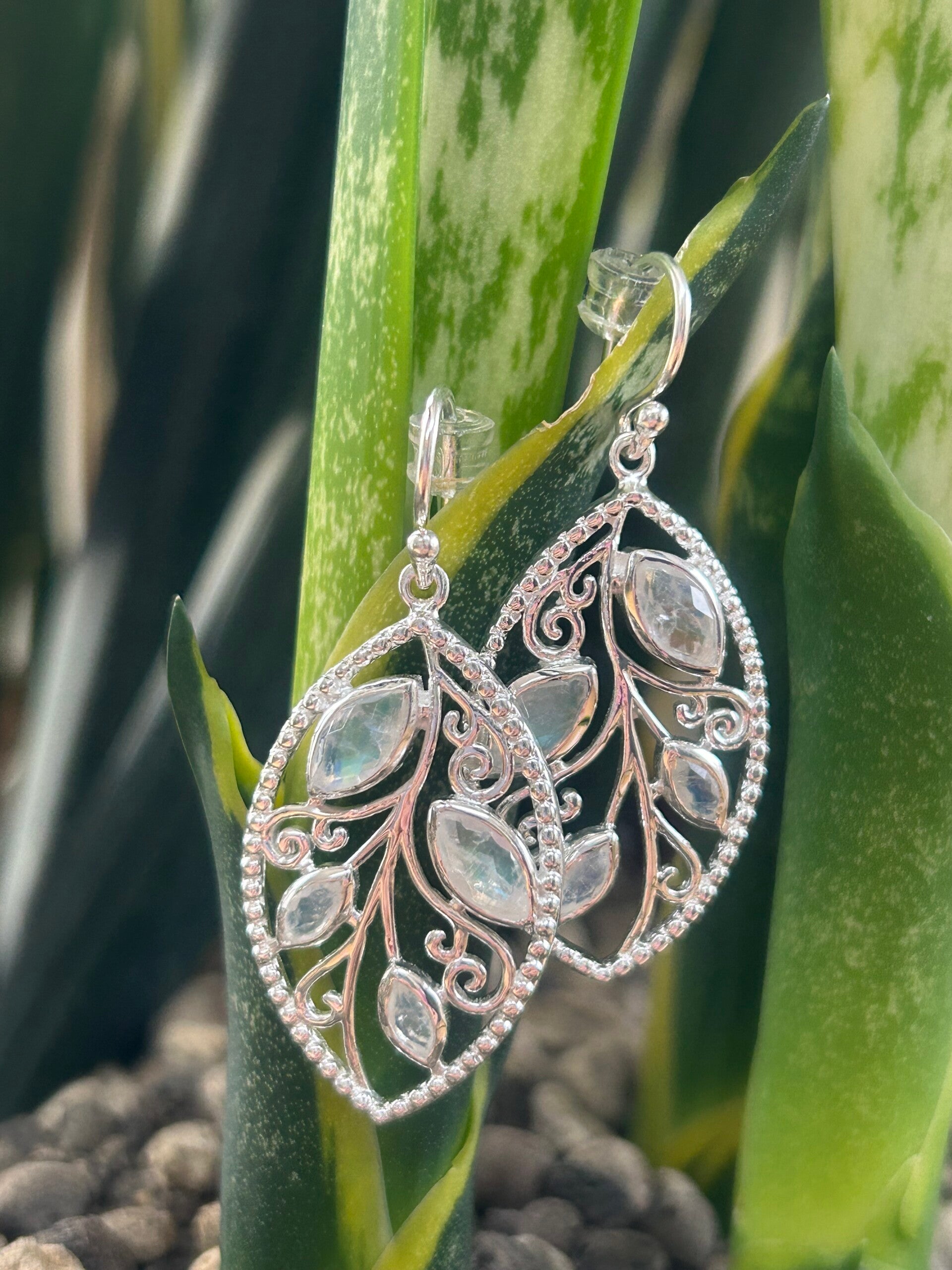 Ohrringe - Mondstein Regenbogen (O480)