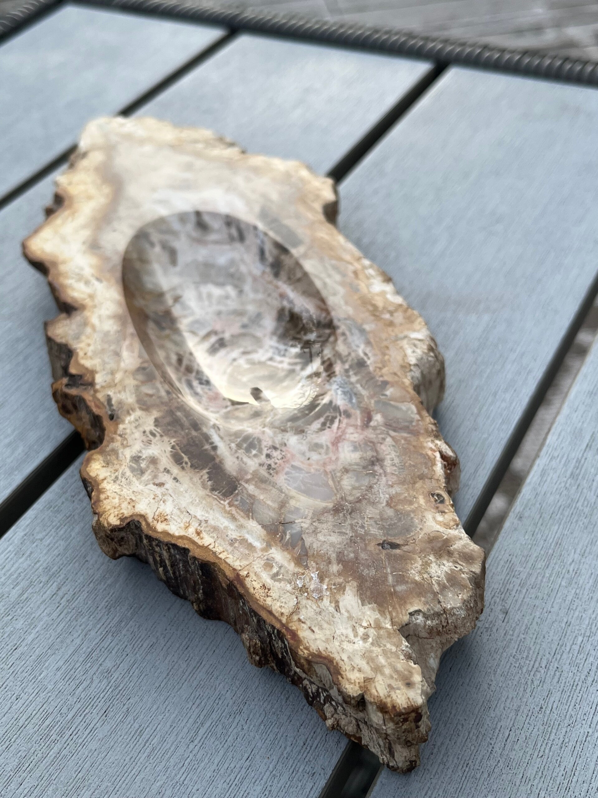 Seifenschale - versteinertes Holz (D038)