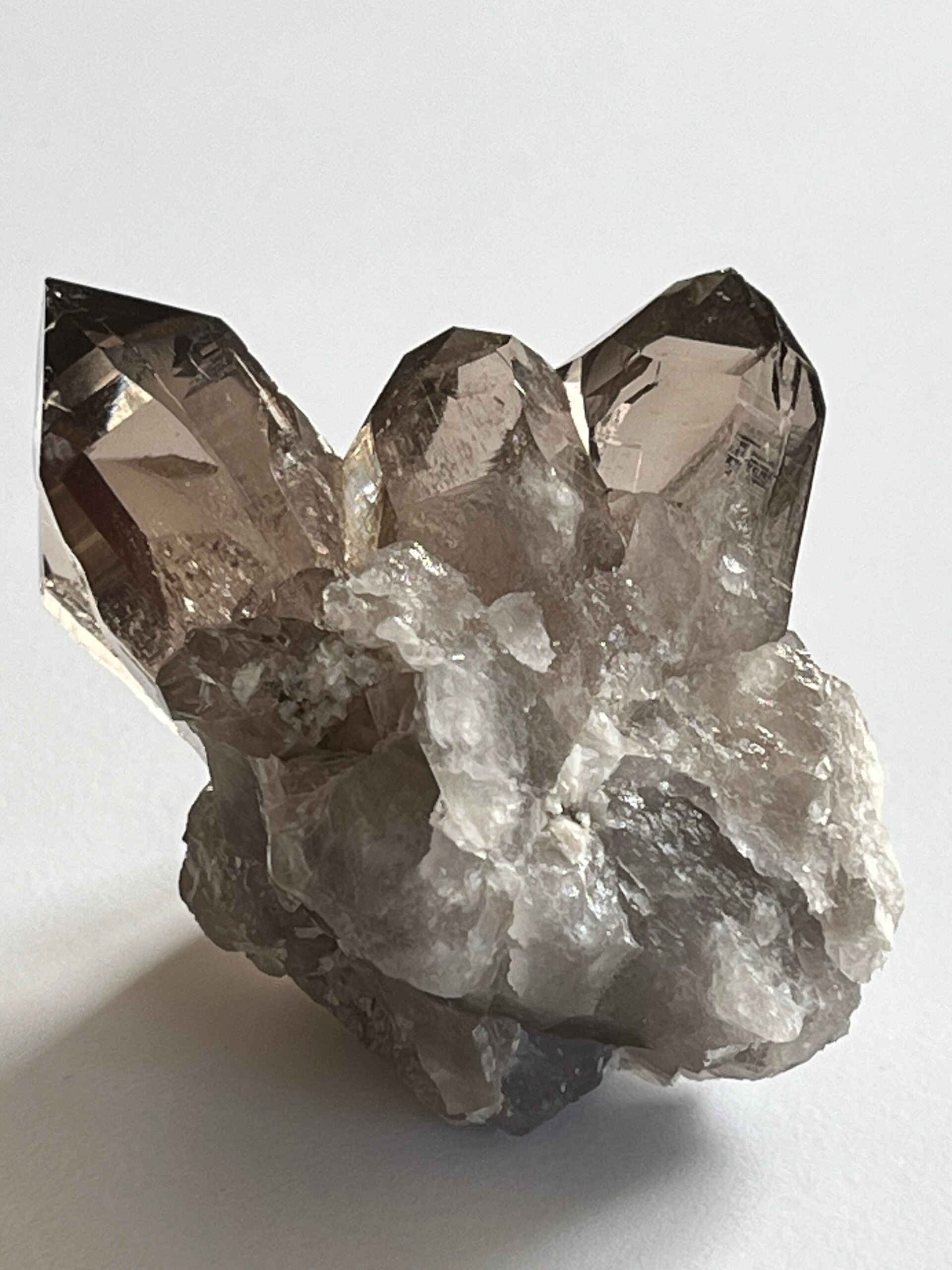 Rauchquarz-Gruppe - Val Nalps (D041)