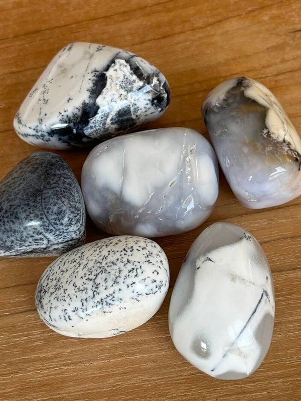 Chalcedon, Dendritenchalcedon (AAA-Qualität) - Trommelsteine
