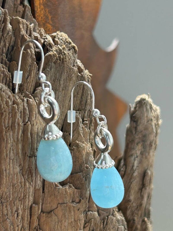 Ohrringe - die Ehrgeizigen (O276)