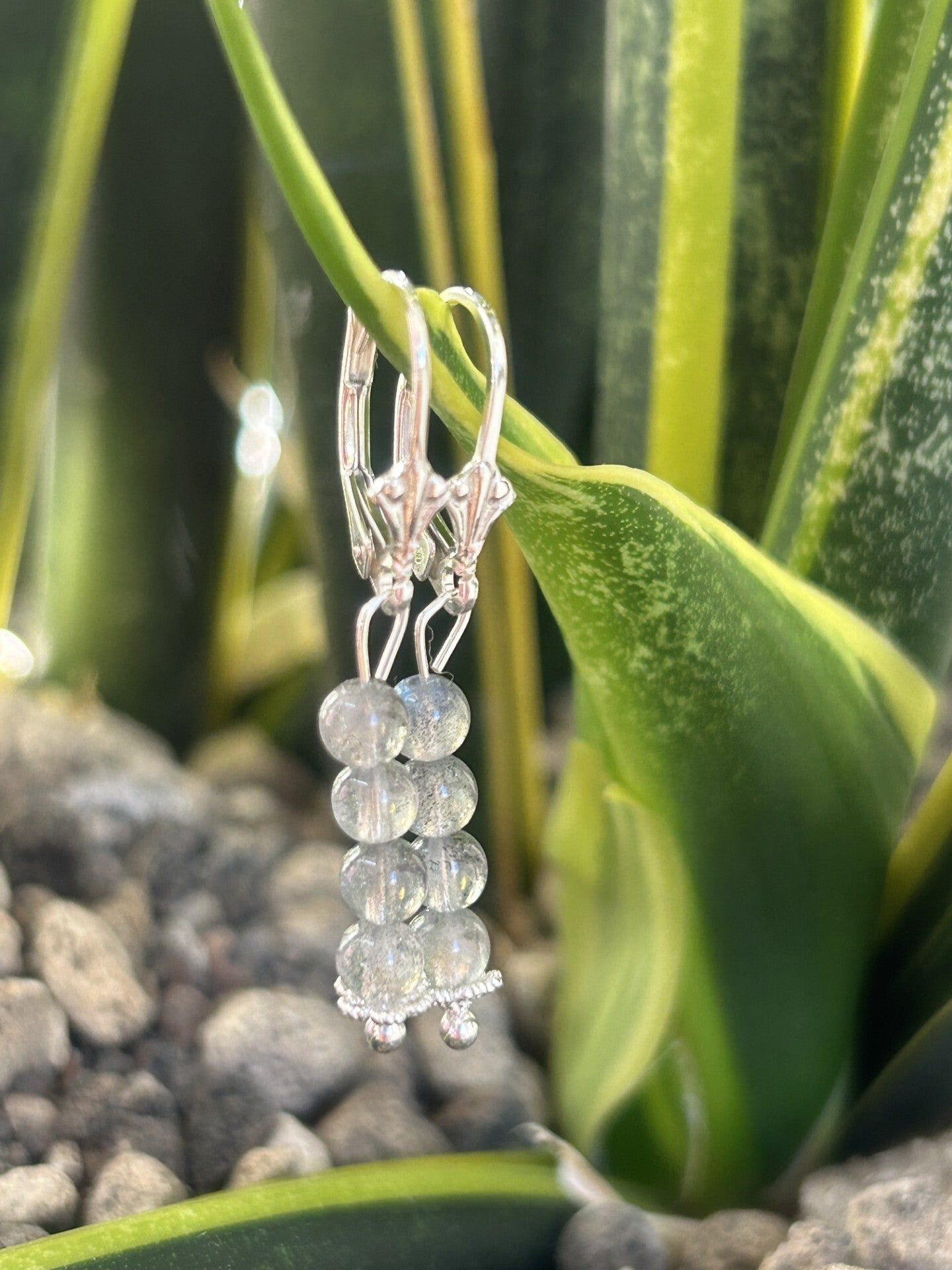 Ohrringe - Labradorit (O458)