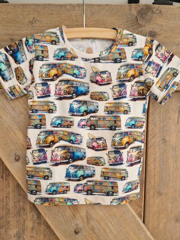 Colorfull ride VW busjes
