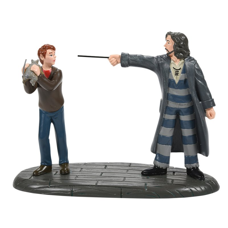 Harry Potter 'Ron & Sirius' - 6007756