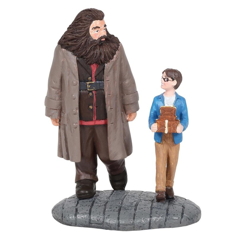 Harry Potter 'Harry Potter & Hagrid' - 6005619