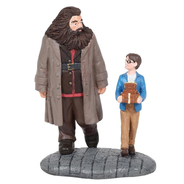 Harry Potter 'Harry Potter & Hagrid' - 6005619