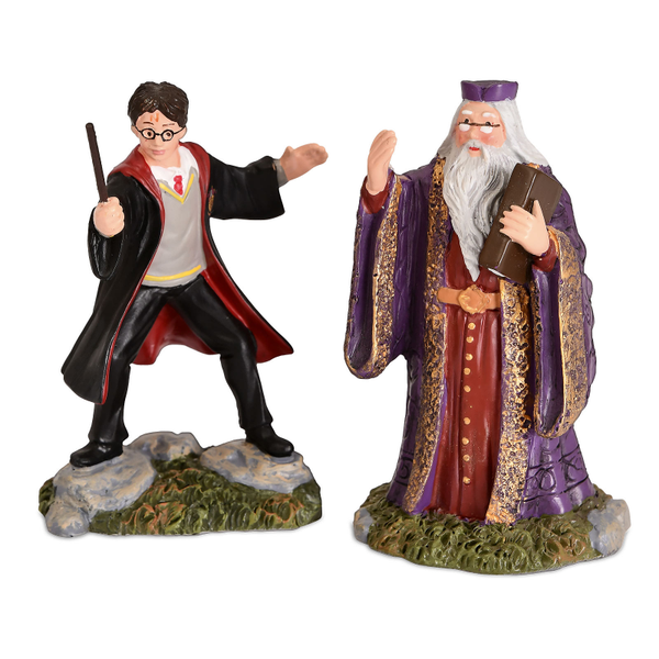 Harry Potter 'Harry & Dumbledore' - 6002314
