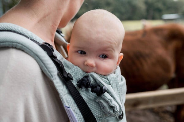 Pure Baby Love Click&Go Ocean Green Peuterdraagzak