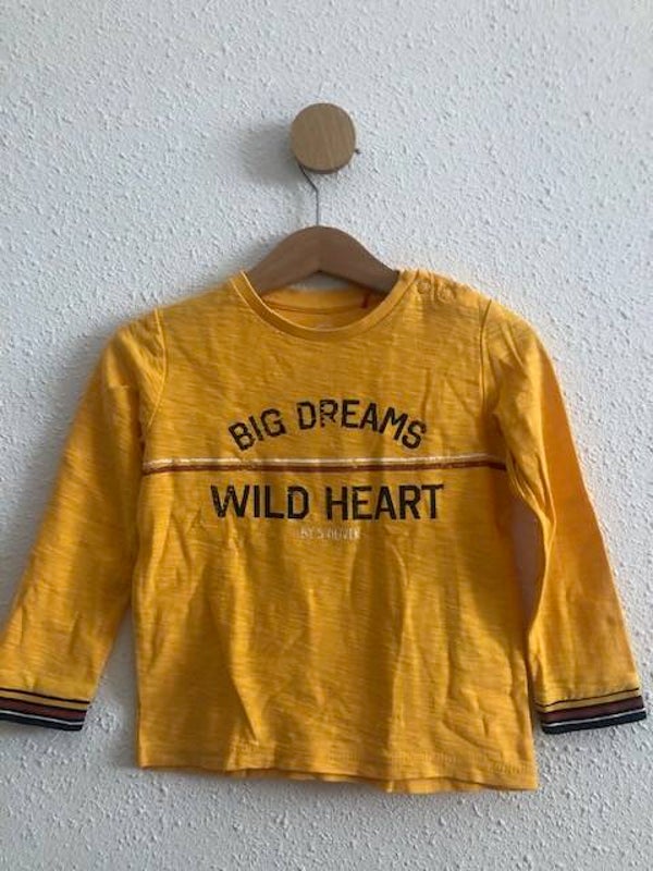Longsleeve "Big Dreams Wild Heart"