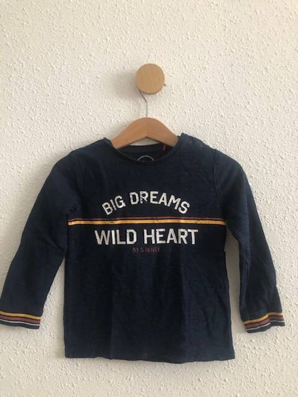 Longsleeve "Big Dreams Wild Heart"