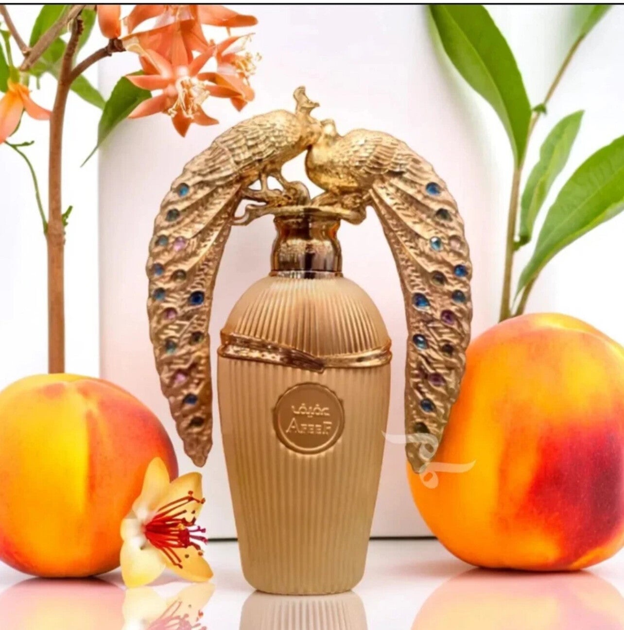 Lattafa Afeef EDP 100ml