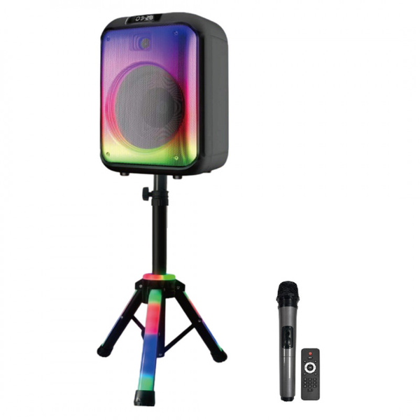 Altoparlante portatile con funzione karaoke, altoparlante per feste SoundMan