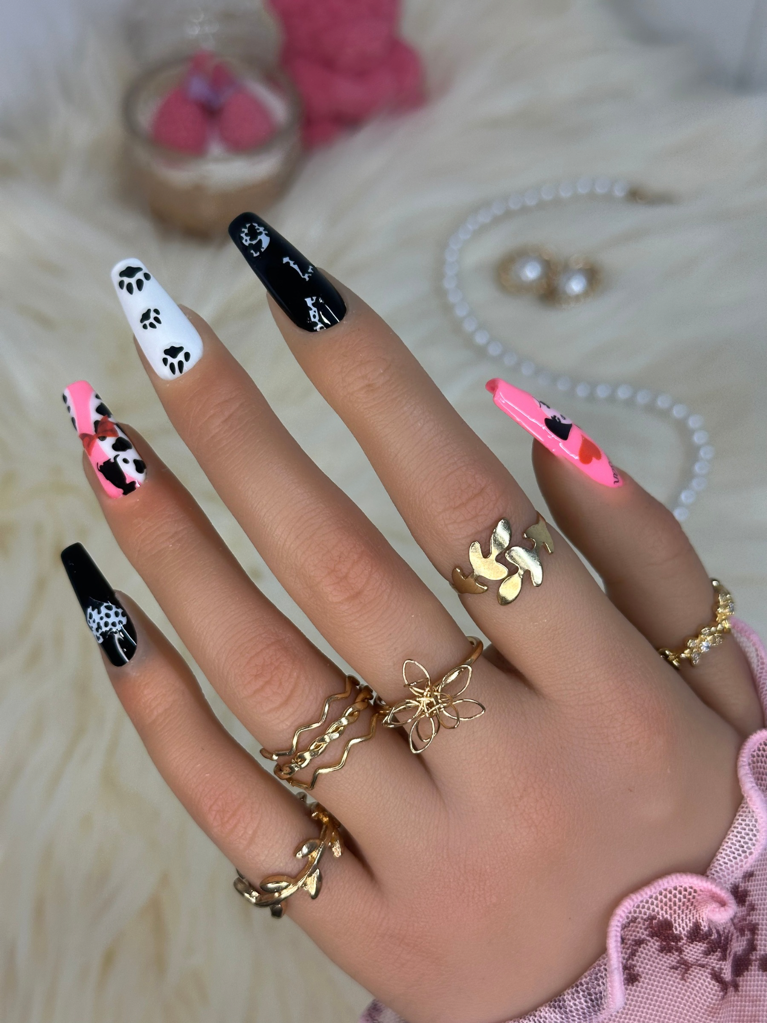 Dalmatian darling