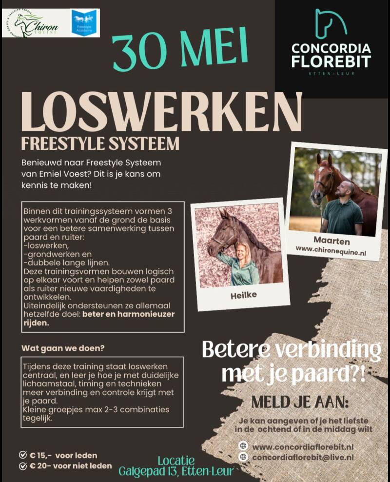 flyer-loswerken-standard-saexyg.jpg