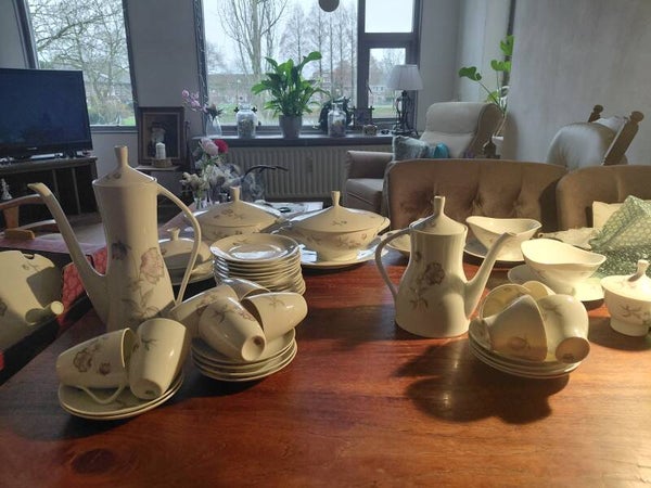 Bavaria edelweis compleet servies