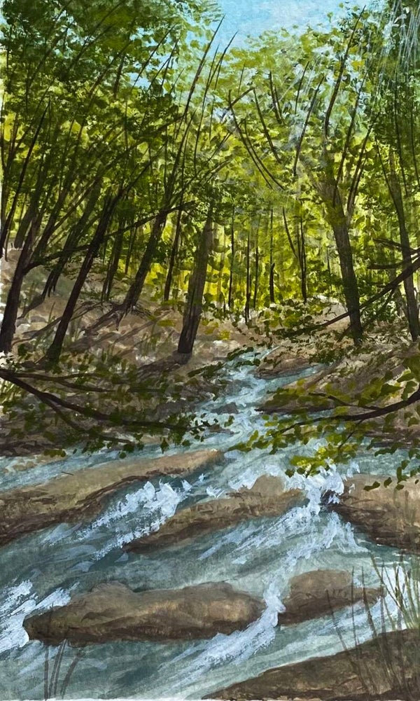 Sittons Gulch