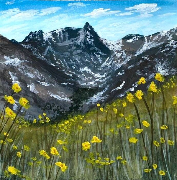 Sweeping Hills