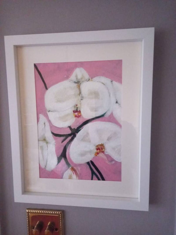 Orchid