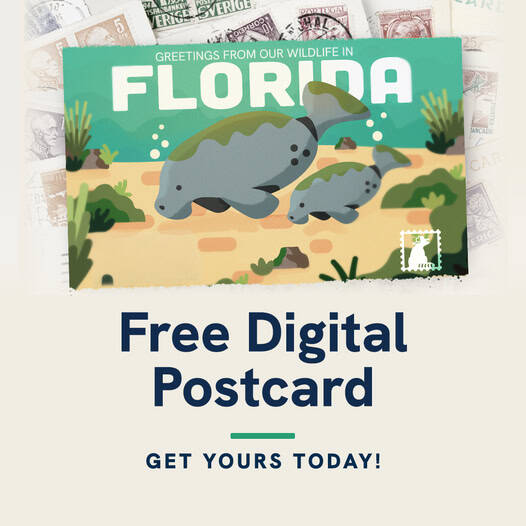 Colorful digital postcard featuring a manatee swimming underwater with the text “We Achieve More Together.”