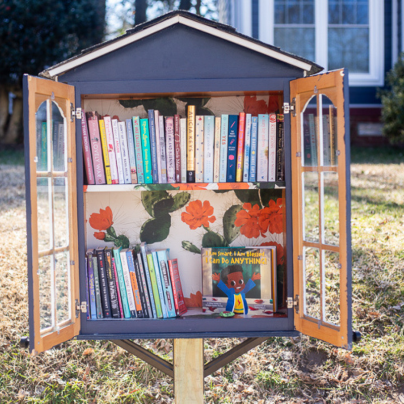 A colorful Little Free Library book-sharing box nestled in a neighborhood garden, inviting readers to take or leave a book.