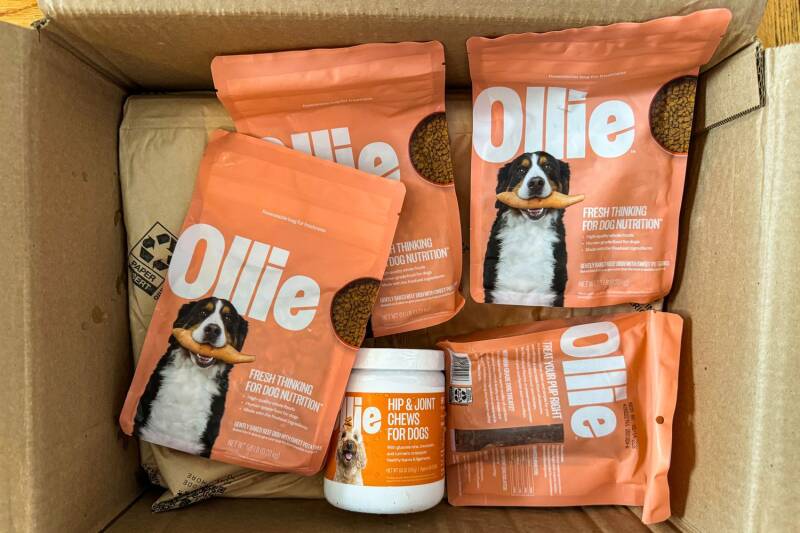 Open delivery box filled with Ollie dog food products, including meal trays, frozen treat, and feeding accessories on a clean background.