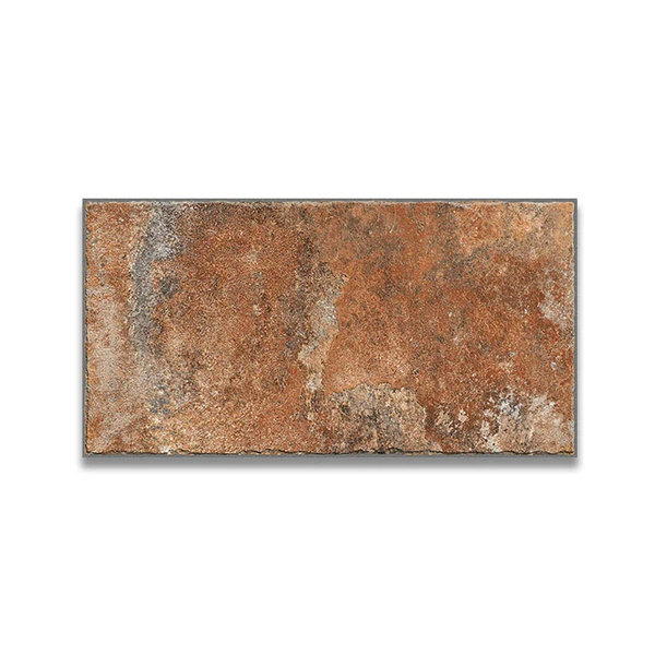 REY 30X60 ASPIRE BROWN R10
