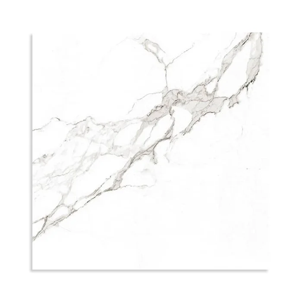 QSEC 60X60 SIG STATUARIO MATT