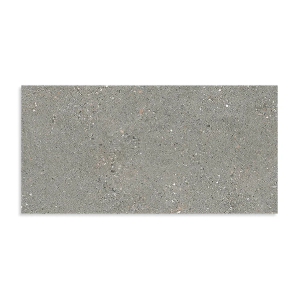 SINTESI FRAMMENTI 30X60 GRIGIO R9