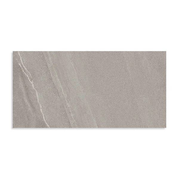 CHORUS 60X120 SILVER R9