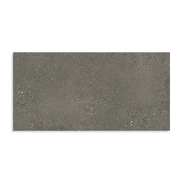 FRAMMENTI TECH 60X120 FUMO R10