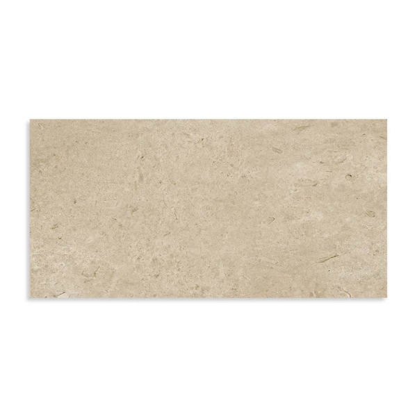 RAGNO ETERNA 60X120 GREIGE R10