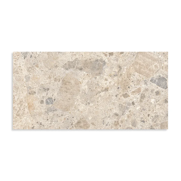 RAGNO ETERNA 60X120 MIX MULTICOLOR R10