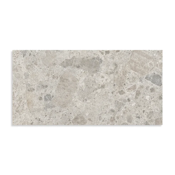 RAGNO ETERNA 60X120 MIX GRIS R10