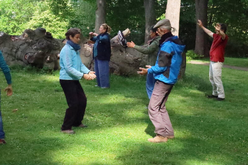 qigong zutphen, taichi, taiji, chi kung, mindfulness, beweging, meditatie