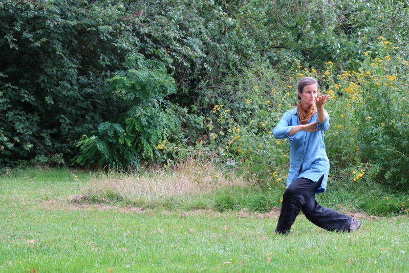 qigong zutphen, qi gong, chi kung, monique kwist, taichi, taiji, tai chi, Lohan qi gong, energie, mindful, gezondheid
