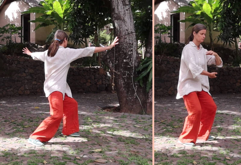 qigong, qi gong, tai chi, taiji, laojia, dierenvorm, monique kwist zutphen