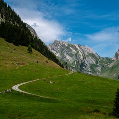 p1090611-standard.jpg