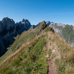 p1090795-standard.jpg